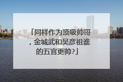 同样作为顶级帅哥，金城武和吴彦祖谁的五官更帅?