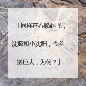 同样在春晚起飞，沈腾和小沈阳，今差别巨大，为何？
