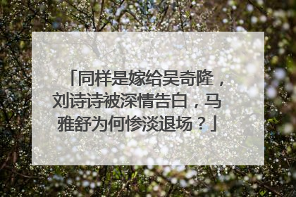 同样是嫁给吴奇隆，刘诗诗被深情告白，马雅舒为何惨淡退场？