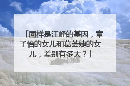 同样是汪峰的基因，章子怡的女儿和葛荟婕的女儿，差别有多大？