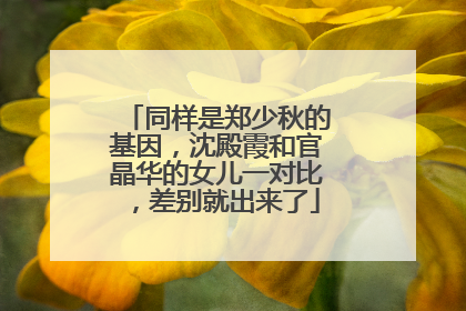 同样是郑少秋的基因,沈殿霞和官晶华的女儿一对比,差别就出来了