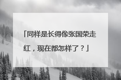 同样是长得像张国荣走红，现在都怎样了？