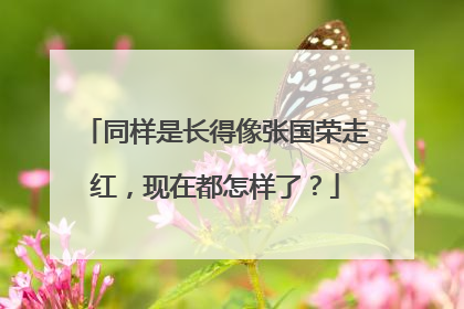 同样是长得像张国荣走红，现在都怎样了？