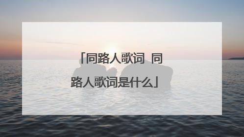同路人歌词 同路人歌词是什么