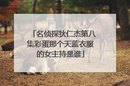 名侦探狄仁杰第八集彩蛋那个天蓝衣服的女主持是谁