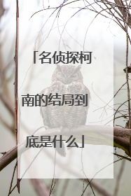 名侦探柯南的结局到底是什么