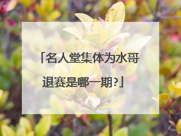 名人堂集体为水哥退赛是哪一期?