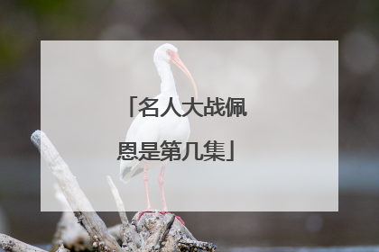 名人大战佩恩是第几集