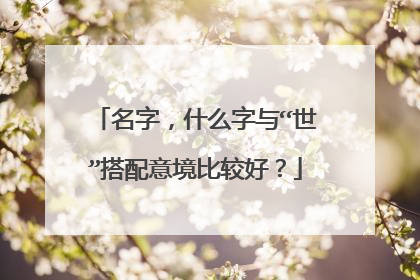 名字，什么字与“世”搭配意境比较好？