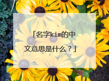 名字kim的中文意思是什么?