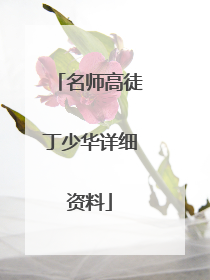 名师高徒丁少华详细资料