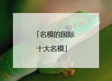 名模的国际十大名模