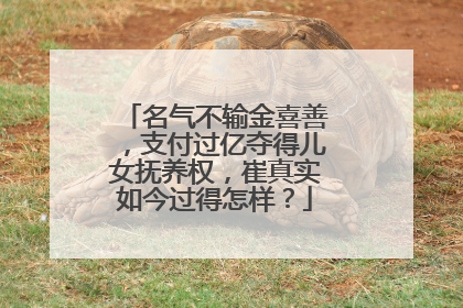 名气不输金喜善，支付过亿夺得儿女抚养权，崔真实如今过得怎样？