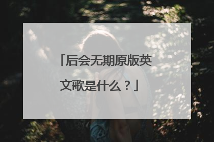 后会无期原版英文歌是什么?
