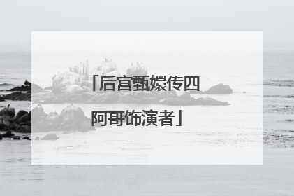 后宫甄嬛传四阿哥饰演者