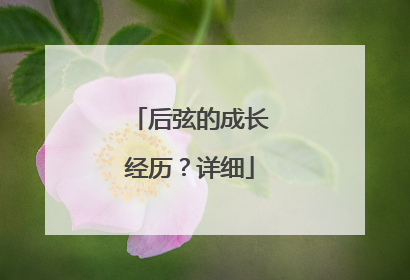 后弦的成长经历？详细
