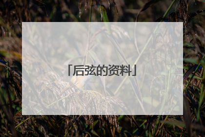 后弦的资料