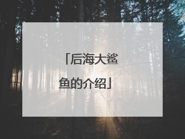 后海大鲨鱼的介绍