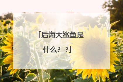 后海大鲨鱼是什么?_?