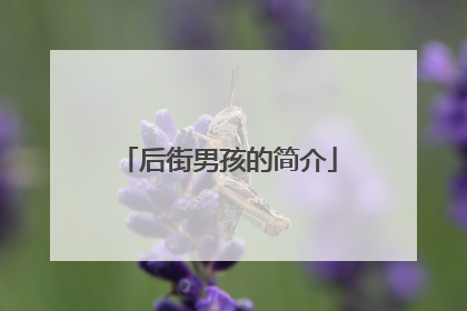 后街男孩的简介