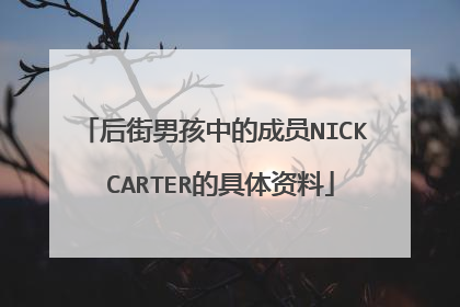 后街男孩中的成员NICK CARTER的具体资料