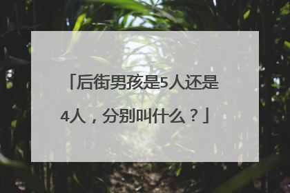 后街男孩是5人还是4人，分别叫什么？