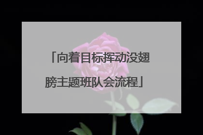 向着目标挥动没翅膀主题班队会流程