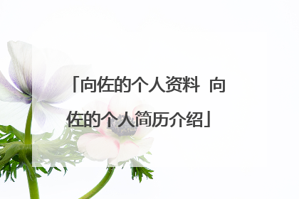 向佐的个人资料 向佐的个人简历介绍