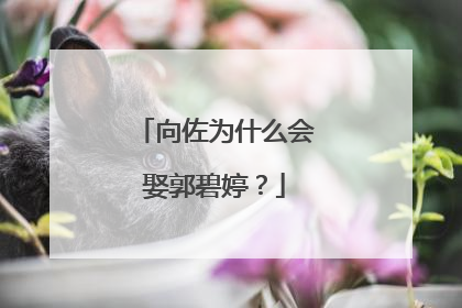 向佐为什么会娶郭碧婷？