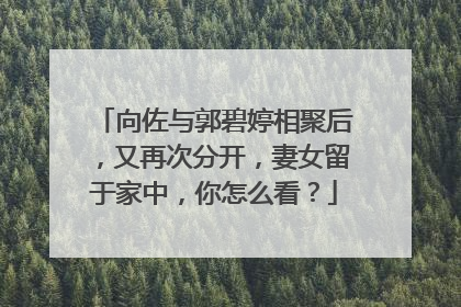 向佐与郭碧婷相聚后，又再次分开，妻女留于家中，你怎么看？