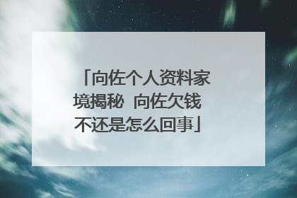 向佐个人资料家境揭秘 向佐欠钱不还是怎么回事