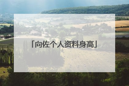 向佐个人资料身高