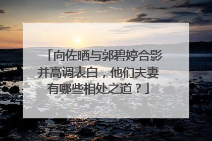 向佐晒与郭碧婷合影并高调表白，他们夫妻有哪些相处之道？