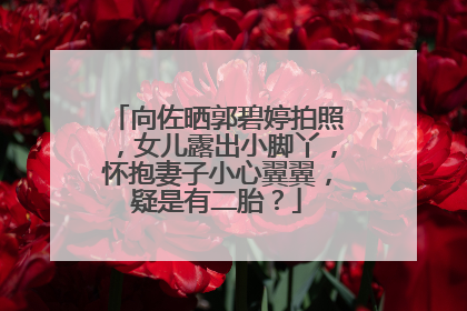 向佐晒郭碧婷拍照，女儿露出小脚丫，怀抱妻子小心翼翼，疑是有二胎？