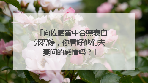 向佐晒雪中合照表白郭碧婷,你看好他们夫妻间的感情吗?