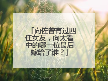 向佐曾有过四任女友，向太看中的哪一位最后嫁给了谁？