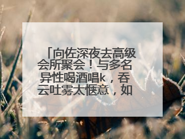 向佐深夜去高级会所聚会!与多名异性喝酒唱k,吞云吐雾太惬意,如何看?