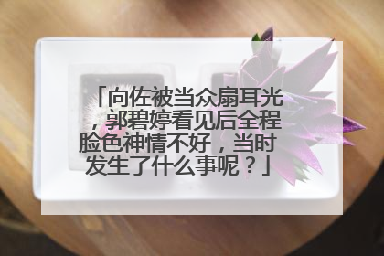 向佐被当众扇耳光,郭碧婷看见后全程脸色神情不好,当时发生了什么事呢?