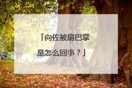 向佐被扇巴掌是怎么回事?