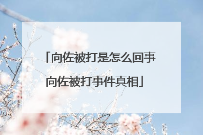 向佐被打是怎么回事向佐被打事件真相