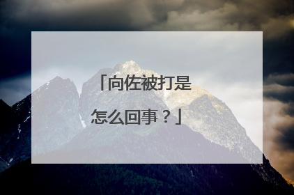 向佐被打是怎么回事?