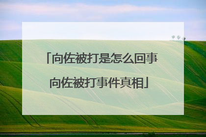向佐被打是怎么回事 向佐被打事件真相
