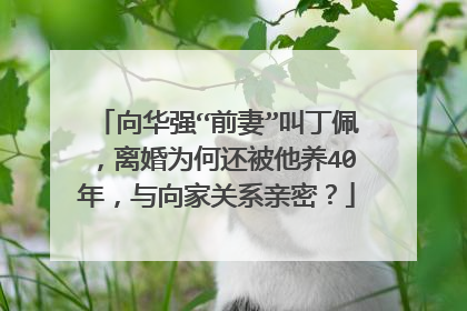 向华强“前妻”叫丁佩,离婚为何还被他养40年,与向家关系亲密?