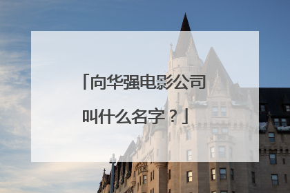 向华强电影公司叫什么名字？