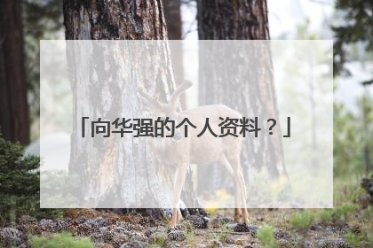 向华强的个人资料？