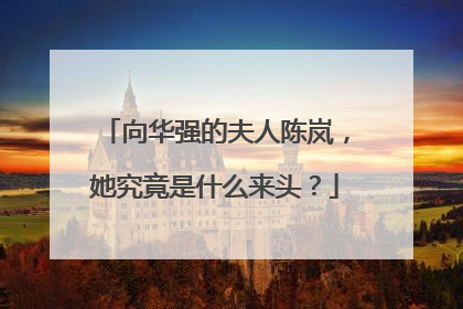 向华强的夫人陈岚，她究竟是什么来头？