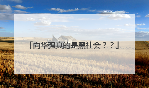 向华强真的是黑社会？？