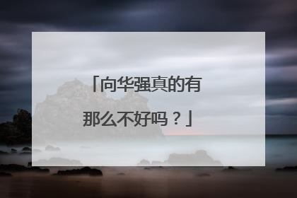 向华强真的有那么不好吗?
