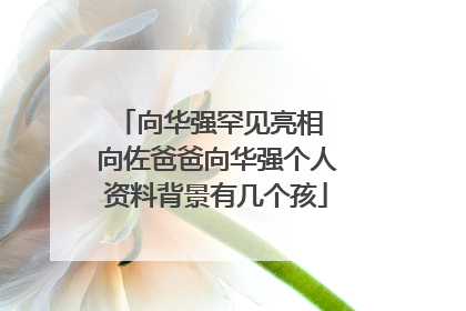 向华强罕见亮相 向佐爸爸向华强个人资料背景有几个孩