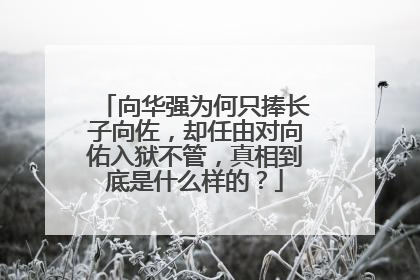 向华强为何只捧长子向佐，却任由对向佑入狱不管，真相到底是什么样的？